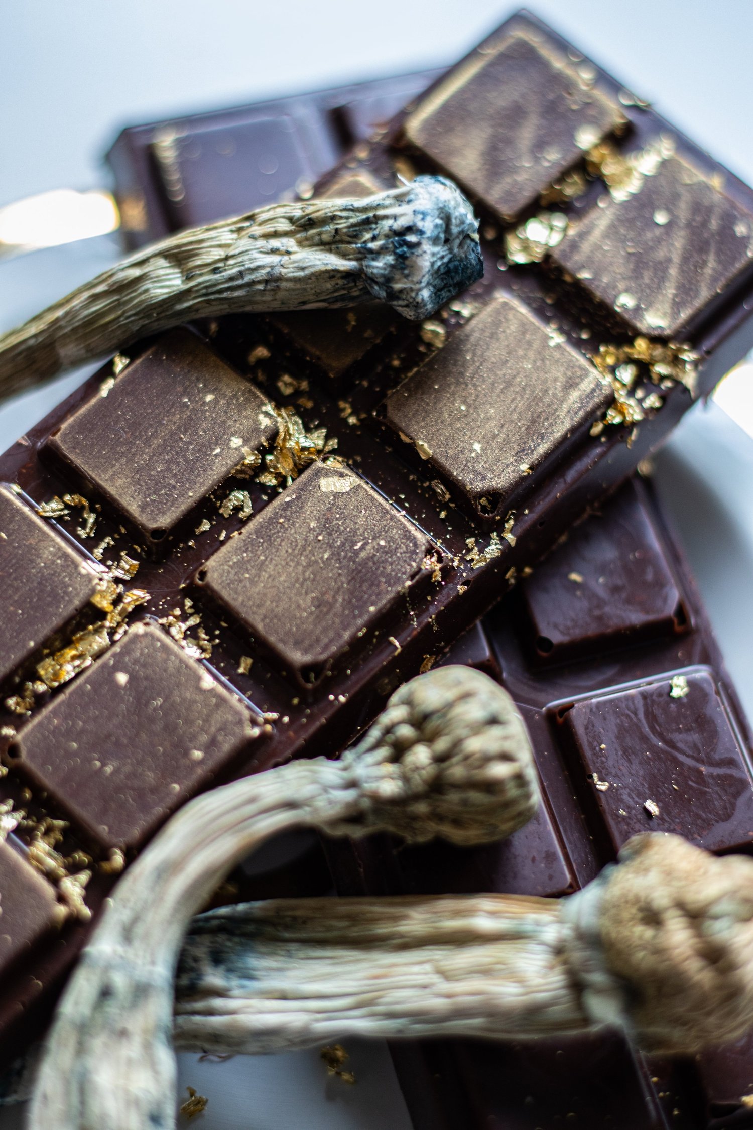 Exploring the effect of psilocybin mushroom chocolate bars,